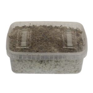 B+ Grow Kit USA | XL Version for Huge Yields