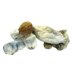 Jedi Mind Fuck Magic Mushrooms