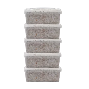 Buy Magic Mushroom Grow Kits USA | FreshMushrooms® XP