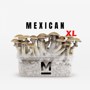 Mondo Mexican XL Grow Kit | Buy High Yield USA