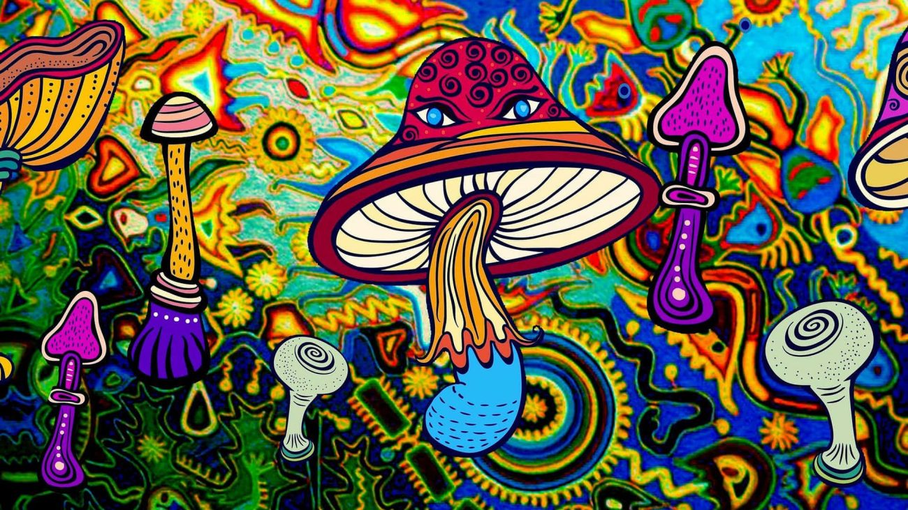 Best Psychedelic Retreats in 2026: A Guide to Choosing Safely
