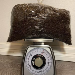 Substrates for magic mushrooms cultivation